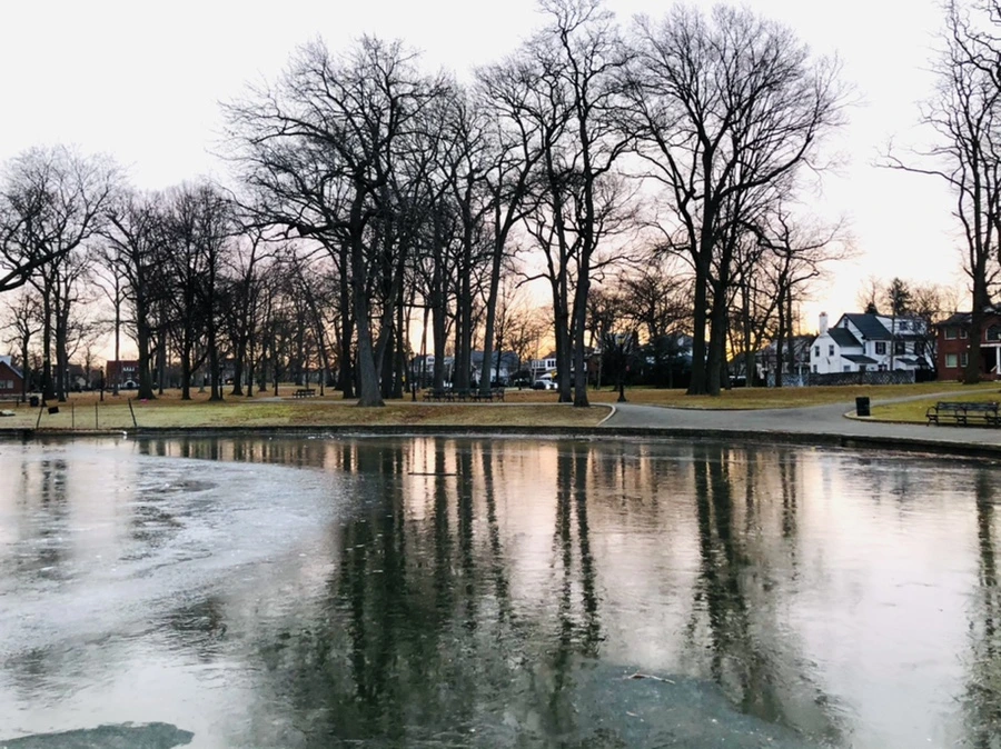 IMG_1921.jpg?type=w966