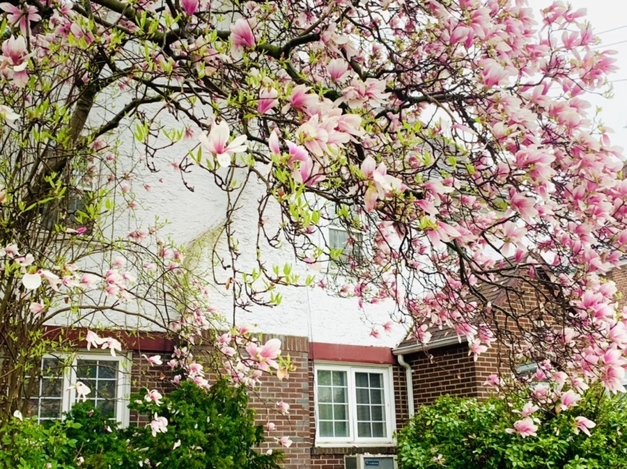 IMG_2418.jpg?type=w966