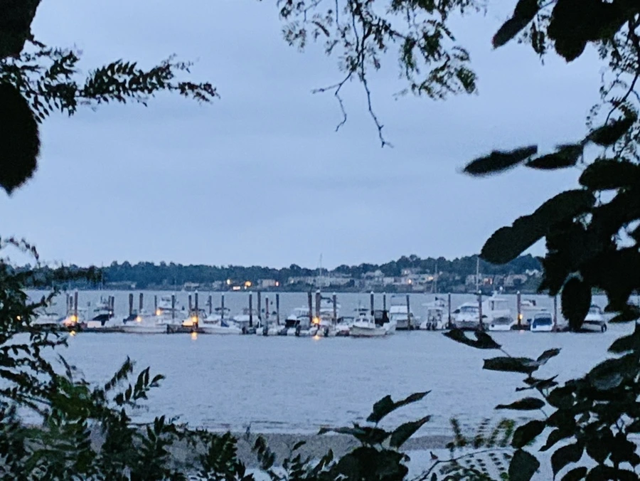 IMG_6697.jpg?type=w966