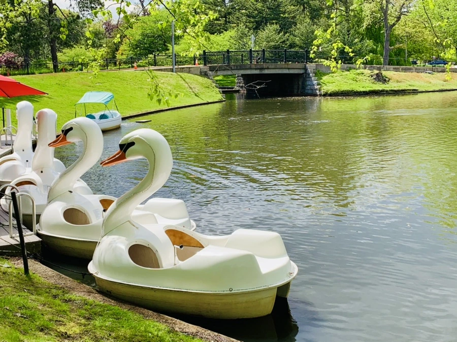 IMG_2485.jpg?type=w966