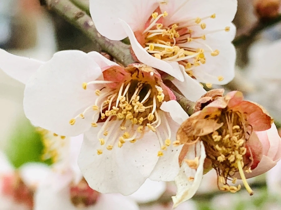 IMG_3568.jpg?type=w966