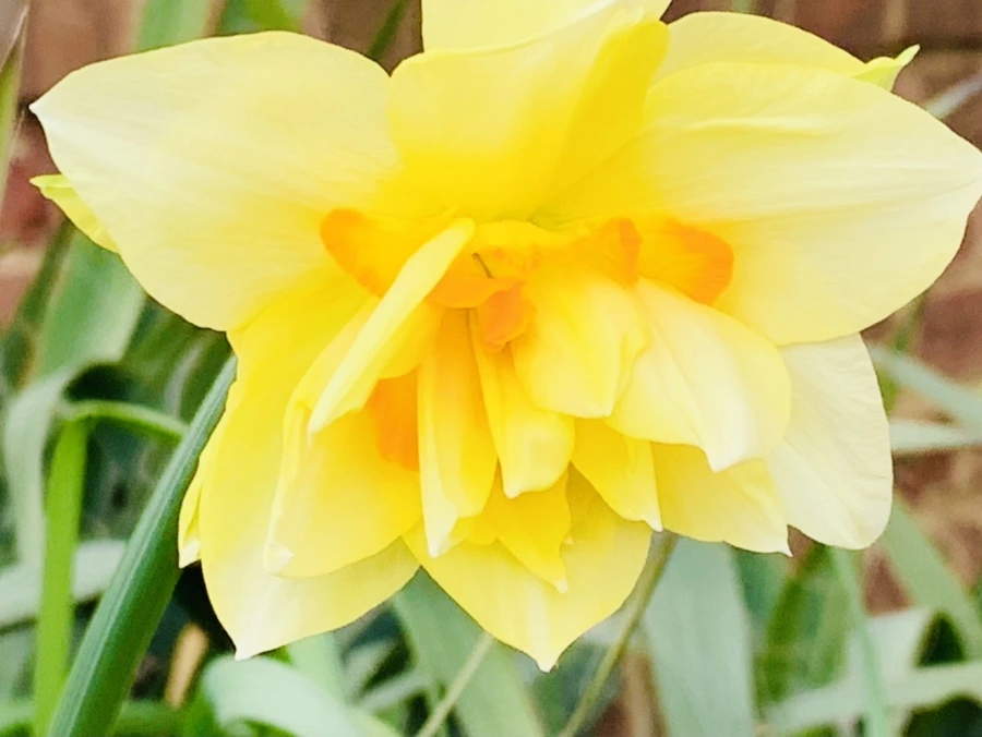 IMG_6823.jpg?type=w966