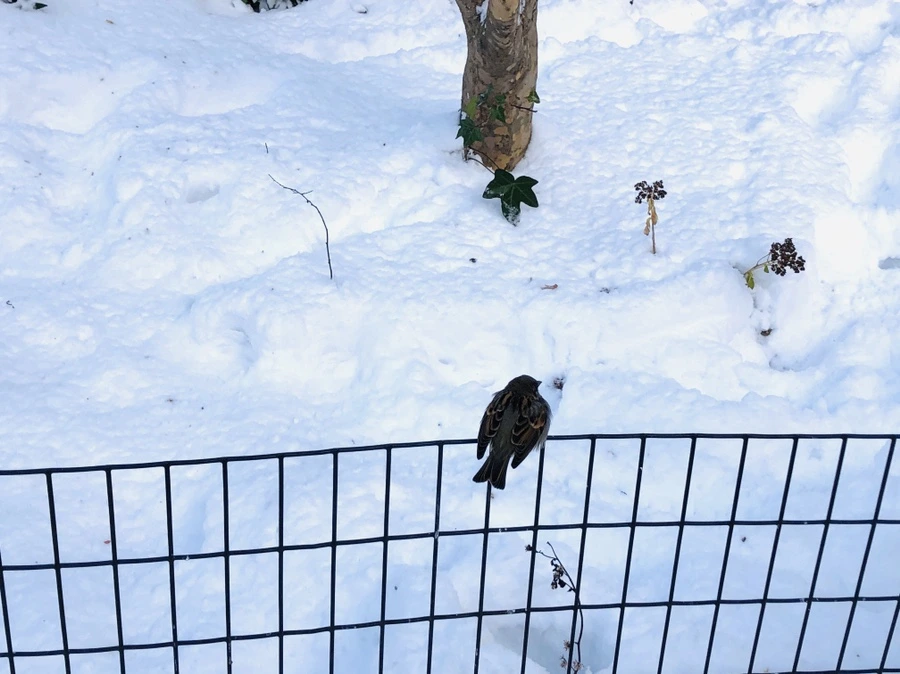 IMG_7201.jpg?type=w966