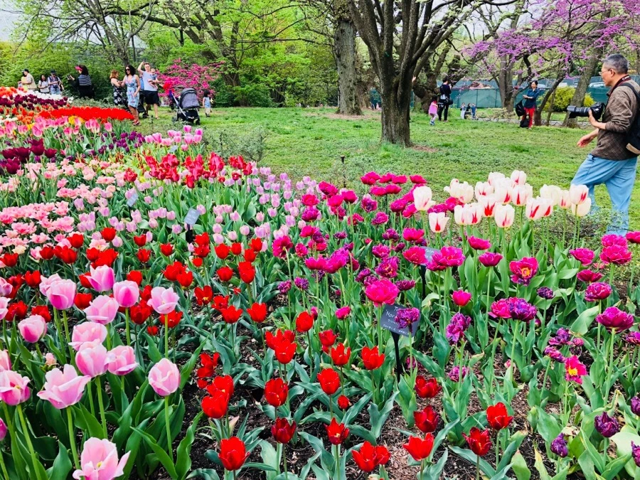 IMG_5511.jpg?type=w966