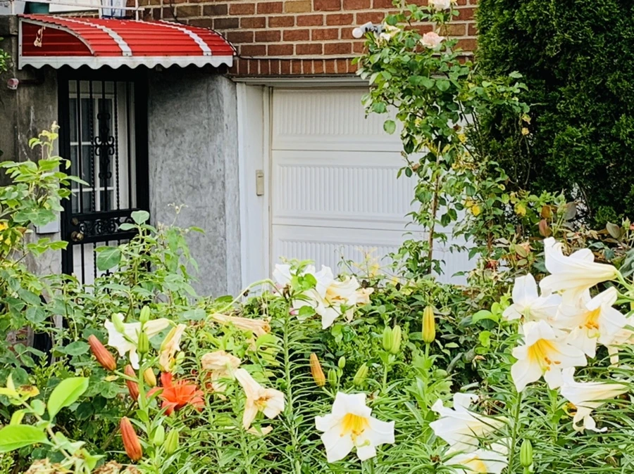 IMG_5945.jpg?type=w966