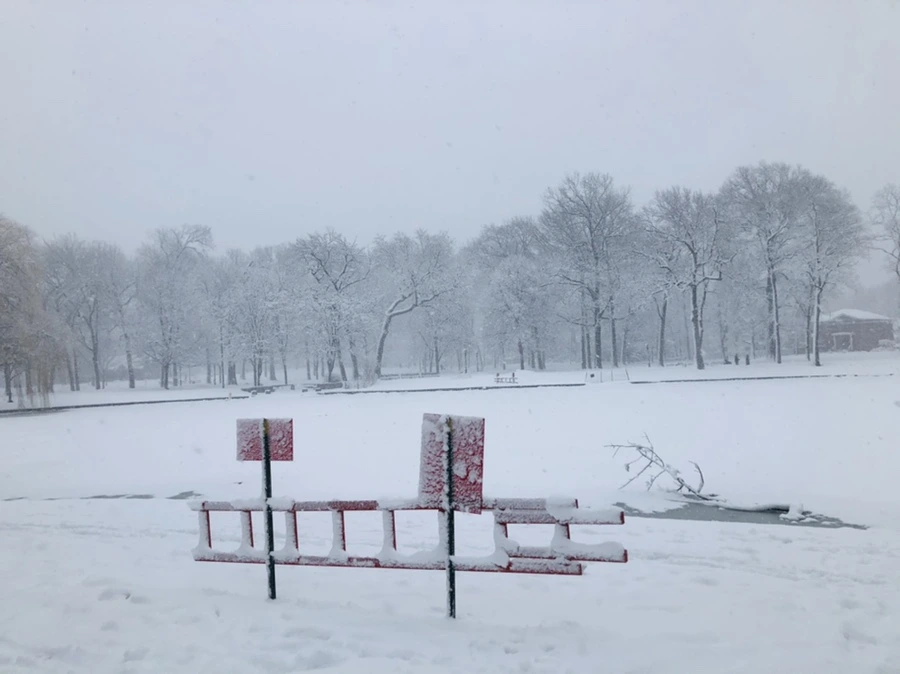 IMG_1073.jpg?type=w966