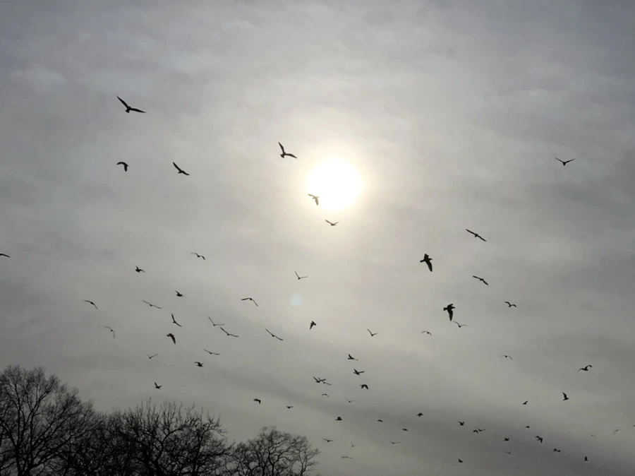 IMG_1999.jpg?type=w966