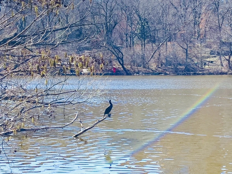 IMG_0710.jpg?type=w966