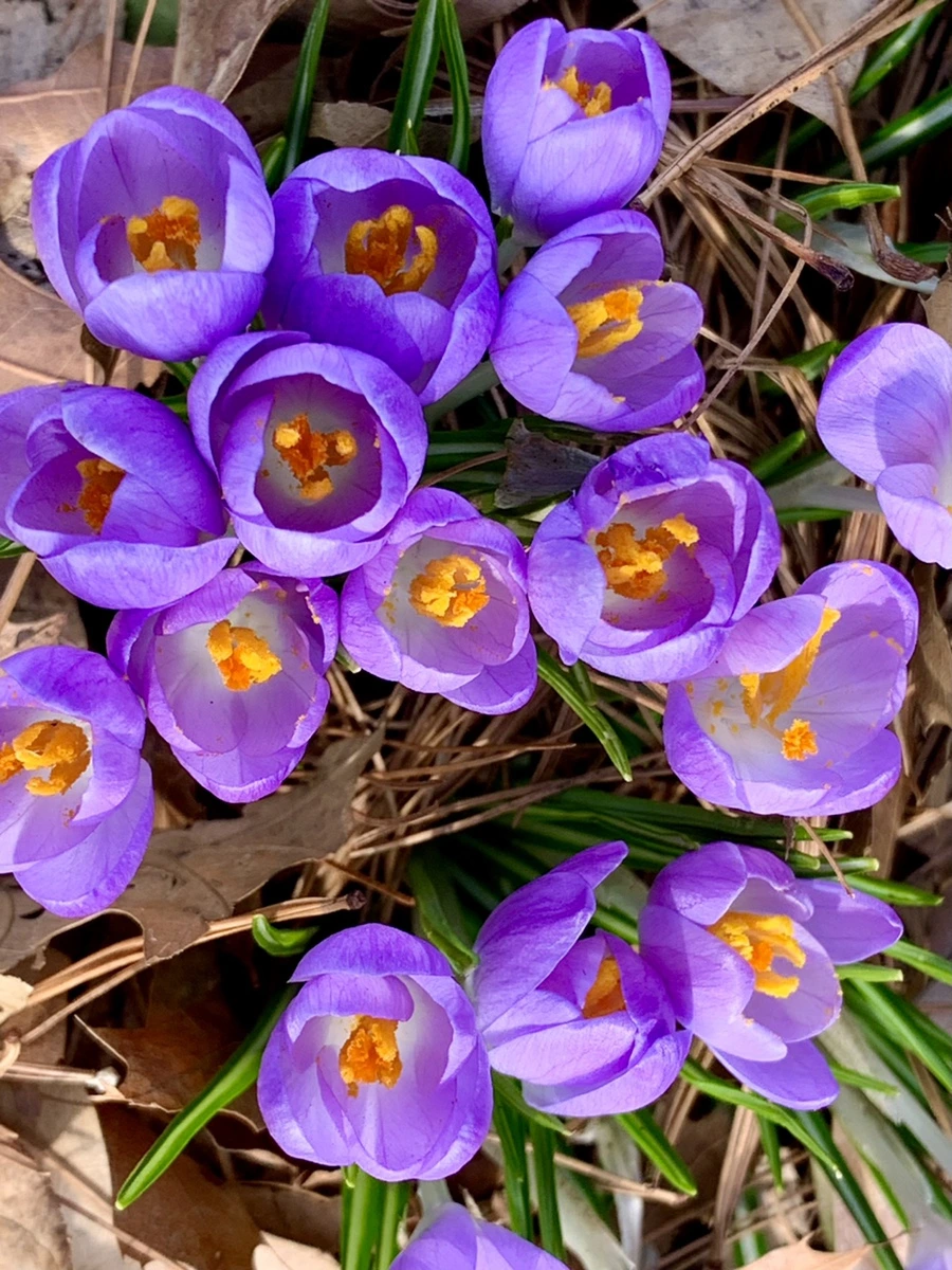 IMG_0120.jpg?type=w966