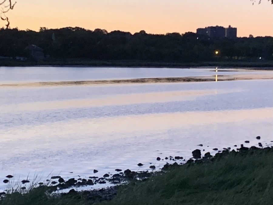 IMG_7420.jpg?type=w966