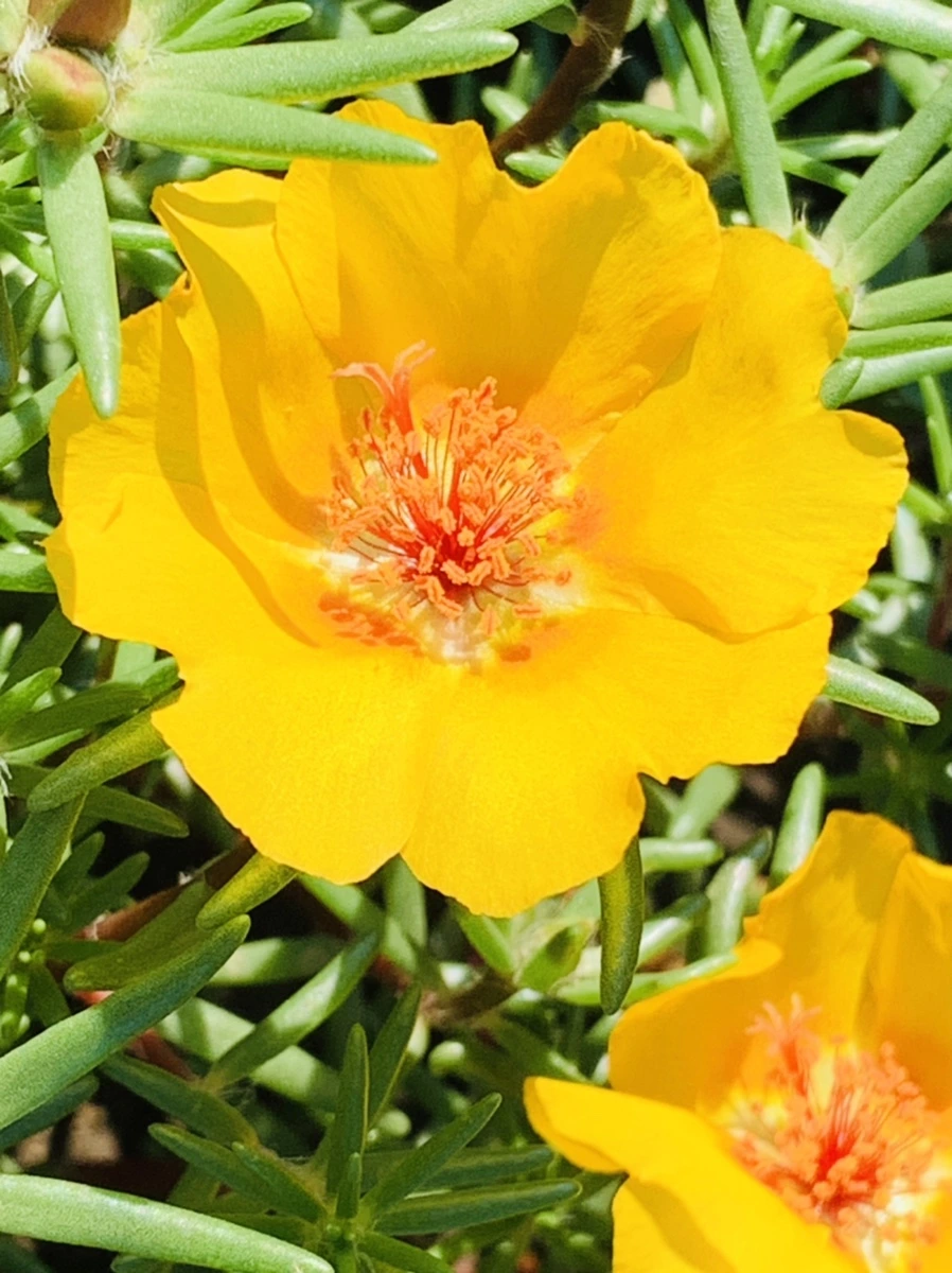 IMG_8378.jpg?type=w966