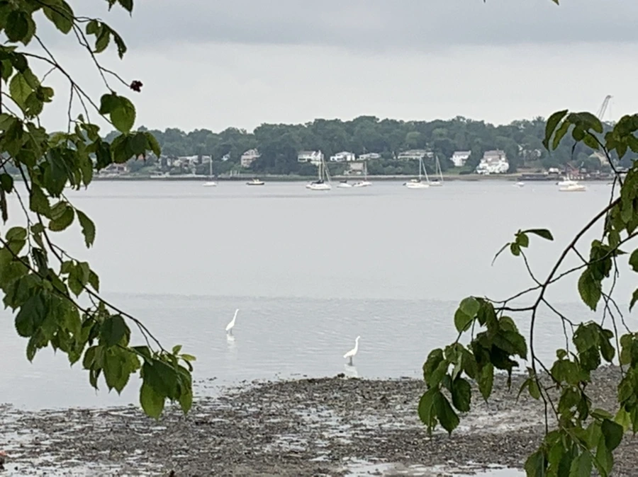 IMG_3717.jpg?type=w966