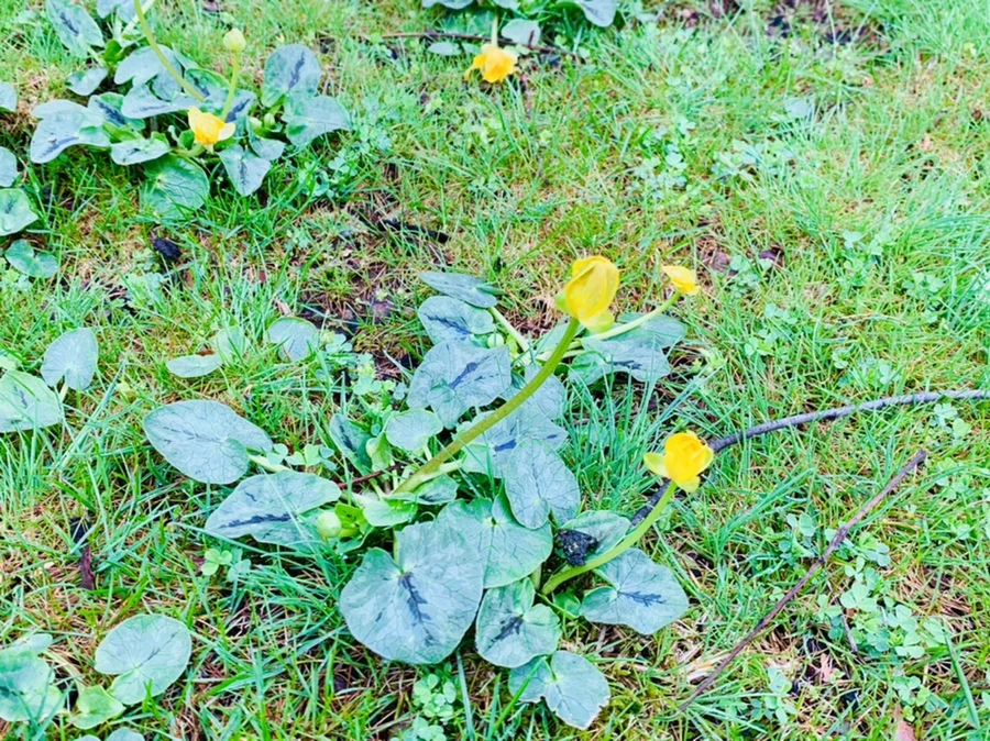 IMG_5325.jpg?type=w966