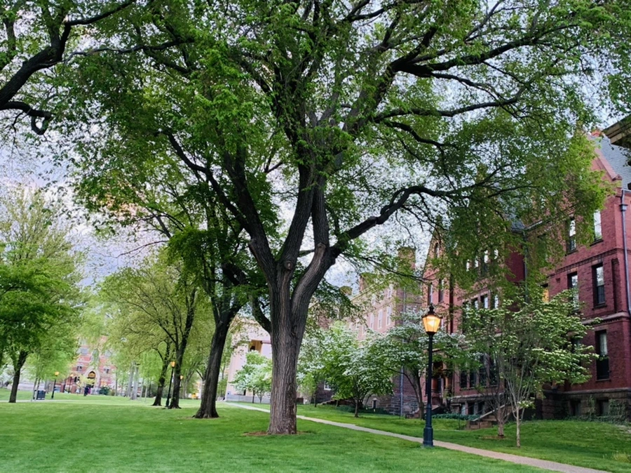 IMG_2579.jpg?type=w966