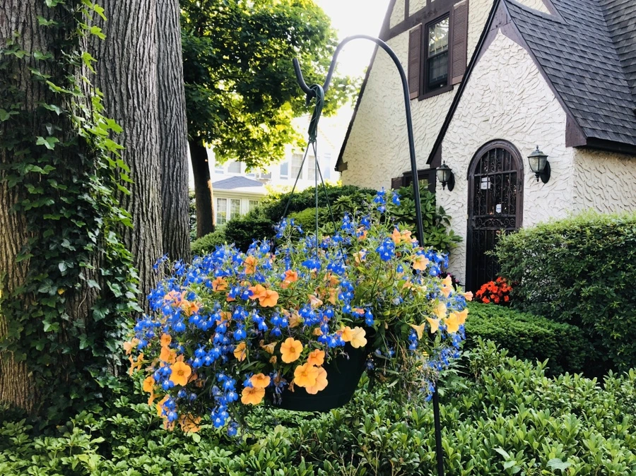 IMG_9035.jpg?type=w966