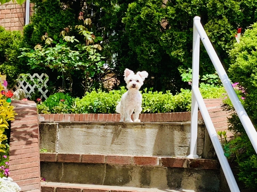 IMG_1507.jpg?type=w966