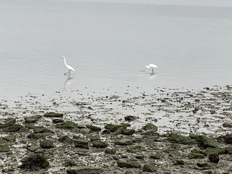 IMG_3687.jpg?type=w966