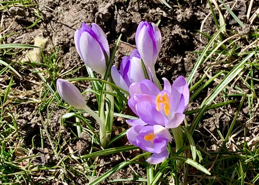 IMG_8221.jpg?type=w966