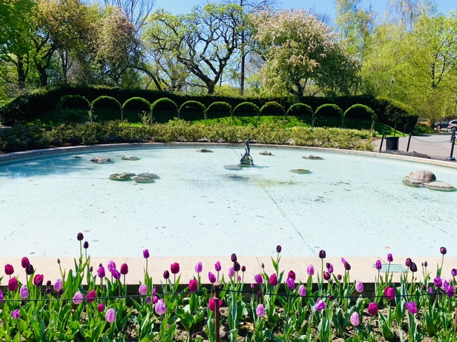 IMG_4614.jpg?type=w966