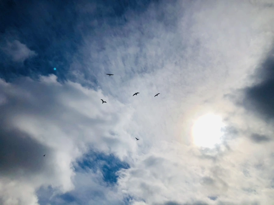 IMG_2941.jpg?type=w966