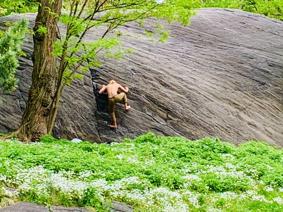 IMG_8763.jpg?type=w966