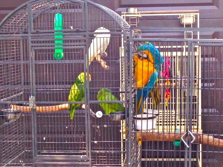 IMG_1366.JPG?type=w1