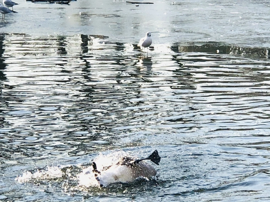 IMG_2844.jpg?type=w966