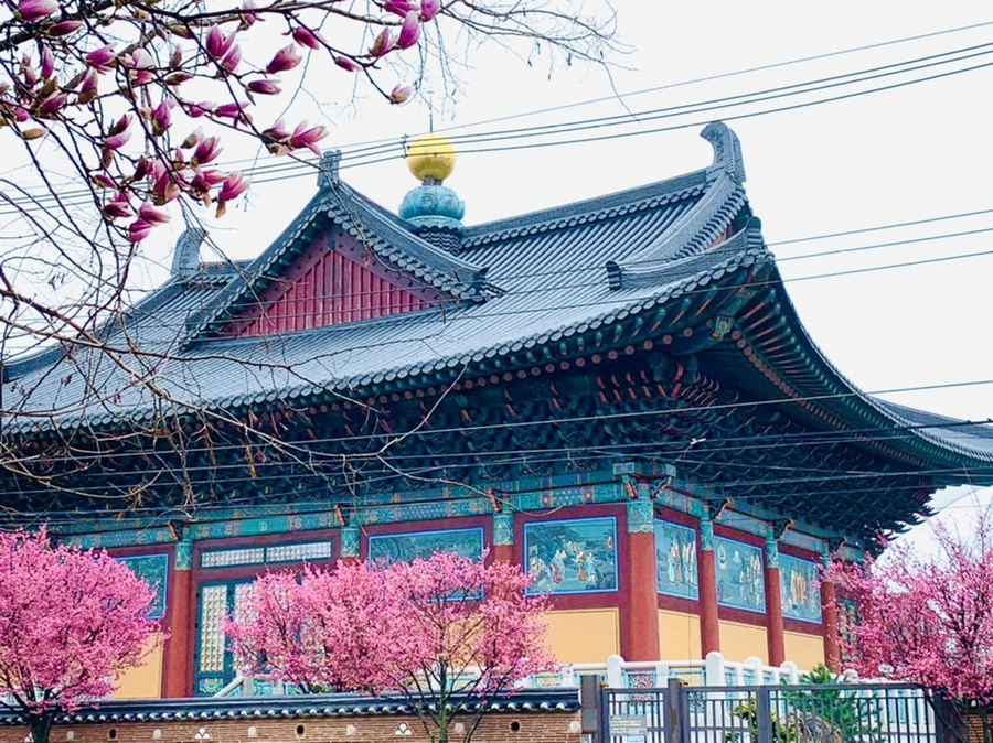 IMG_5309.jpg?type=w966