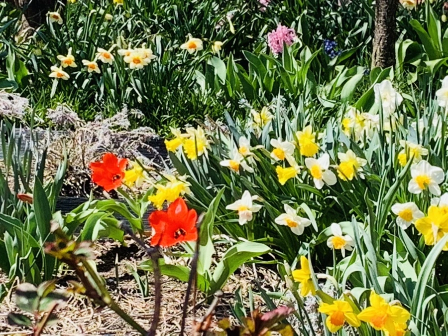 IMG_8082.jpg?type=w966