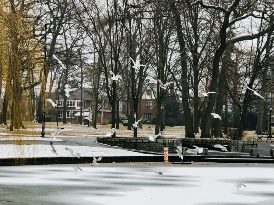 IMG_6258.jpg?type=w966