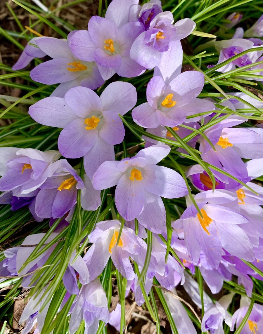 IMG_1093.jpg?type=w966