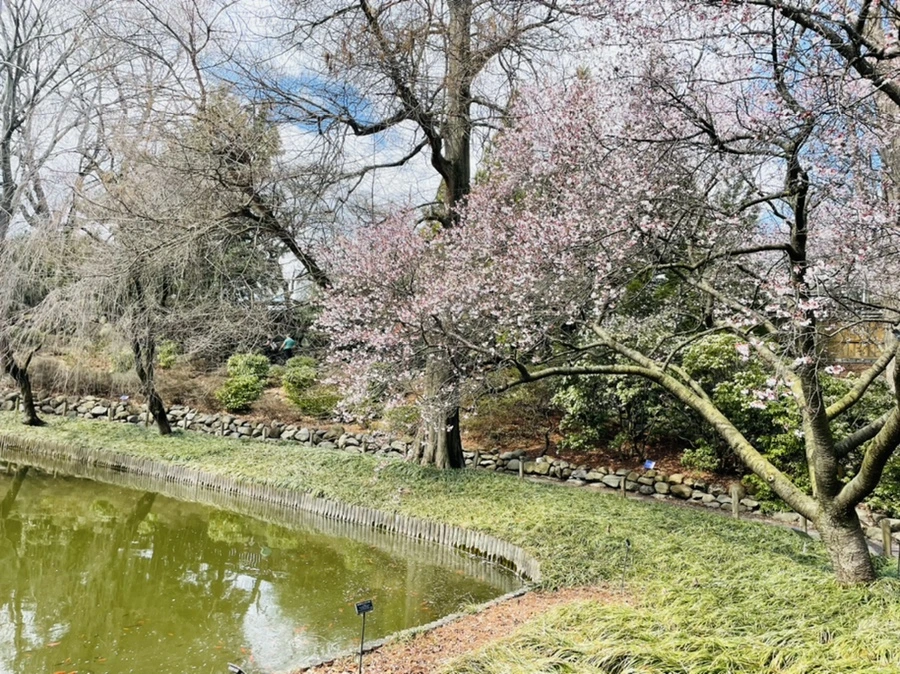 IMG_7205.jpg?type=w966