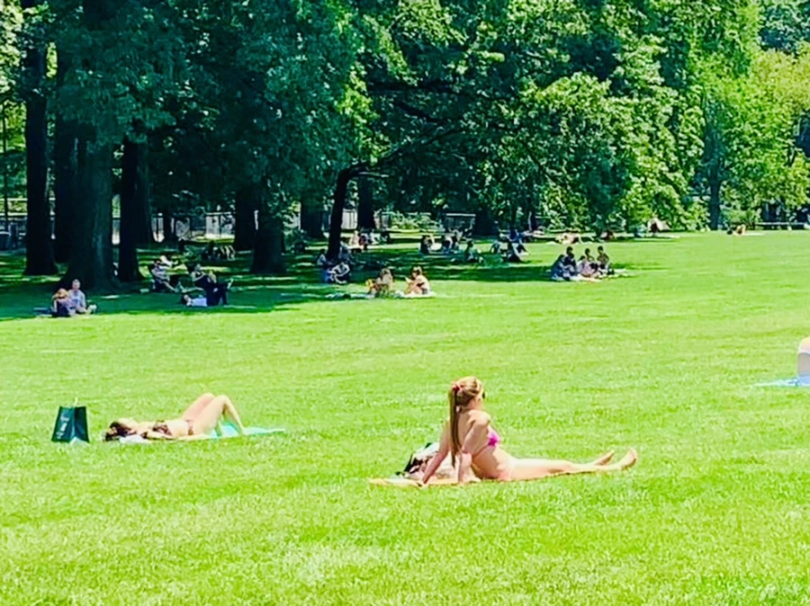 IMG_4942.jpg?type=w966