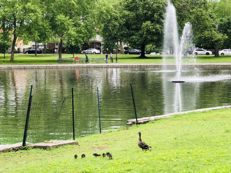 IMG_5281.jpg?type=w966