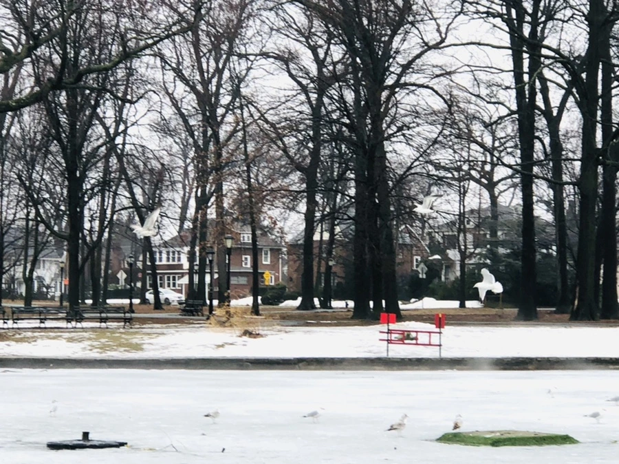 IMG_5734.jpg?type=w966