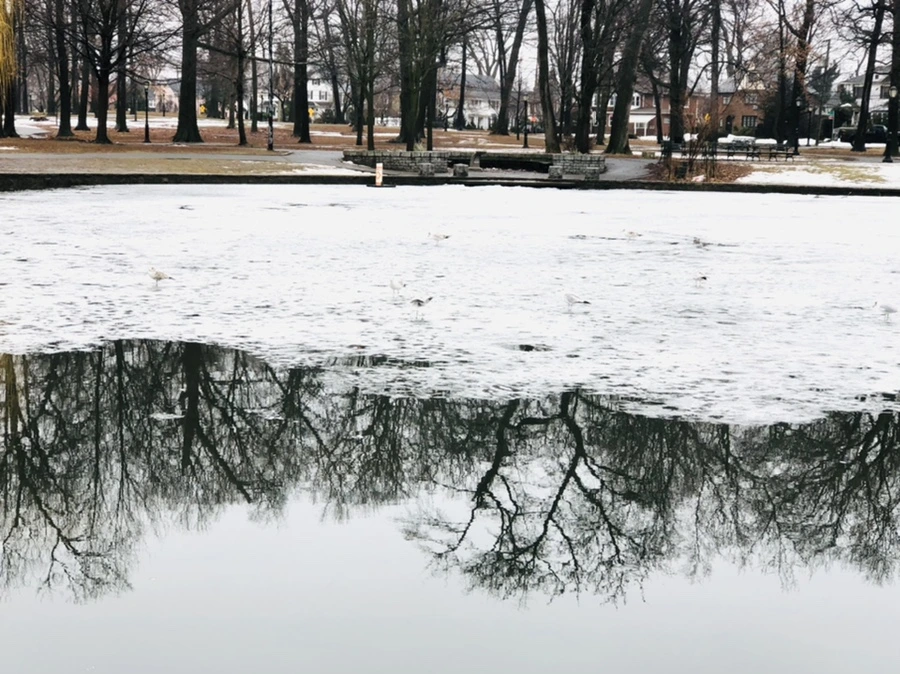 IMG_5555.jpg?type=w966