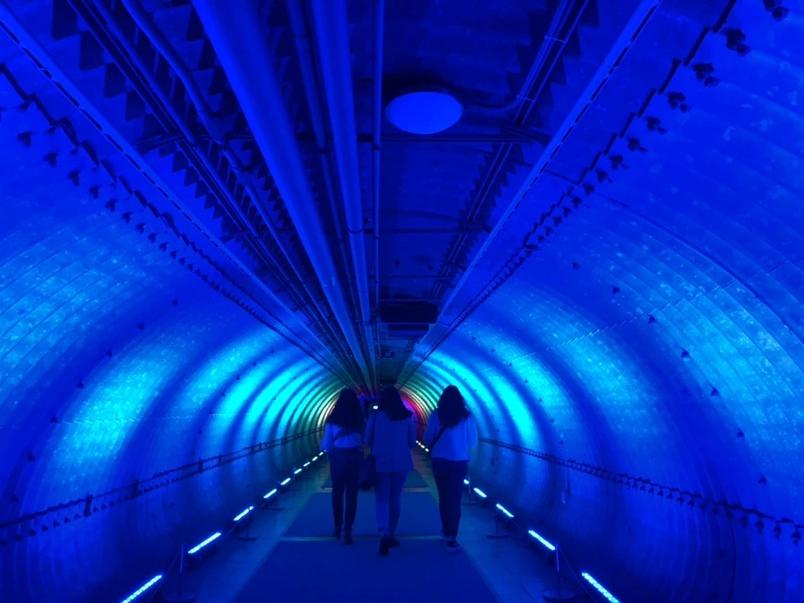 IMG_6242.jpg?type=w966