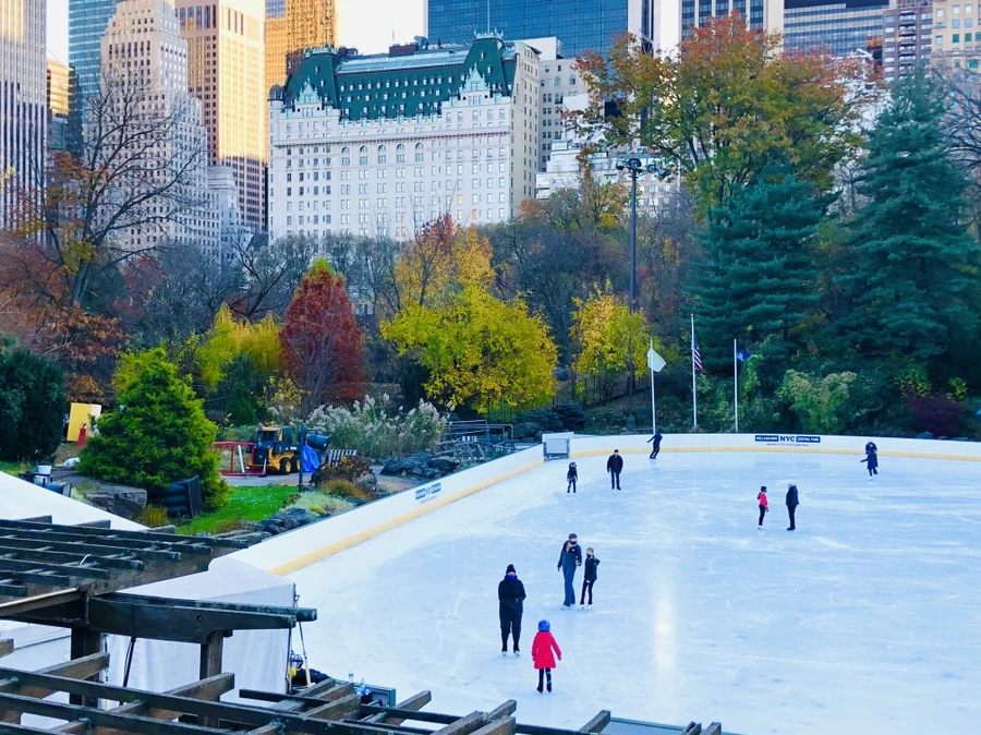 IMG_4842.jpg?type=w966