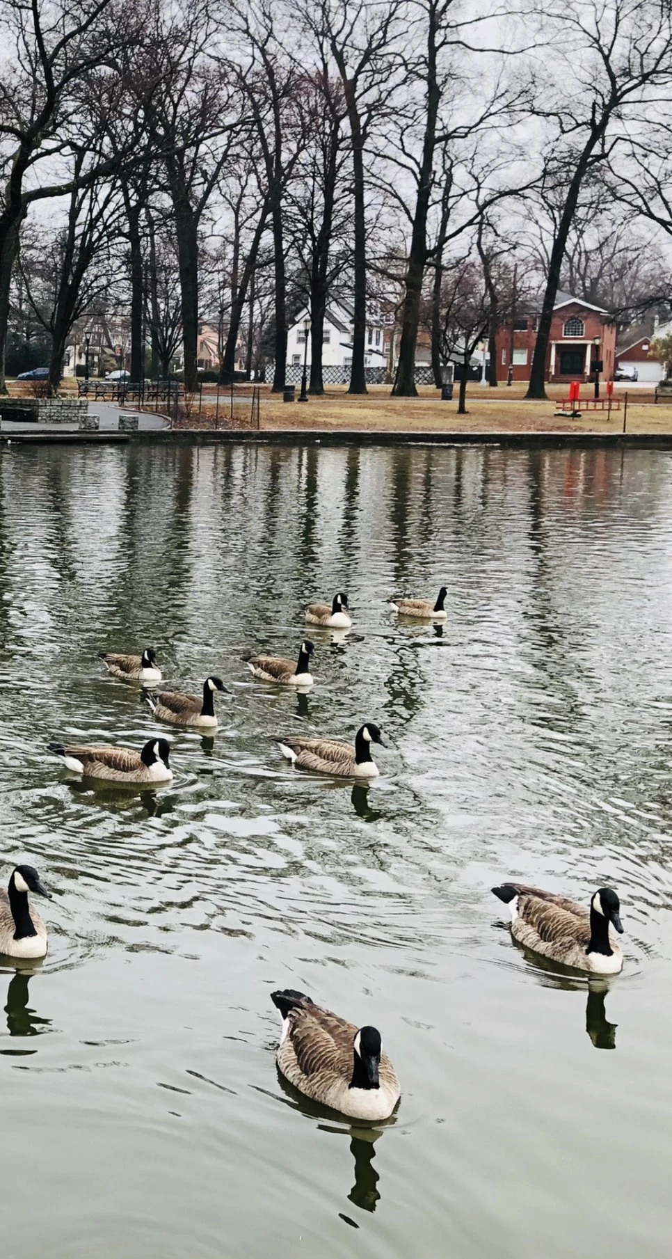 IMG_0039.jpg?type=w966