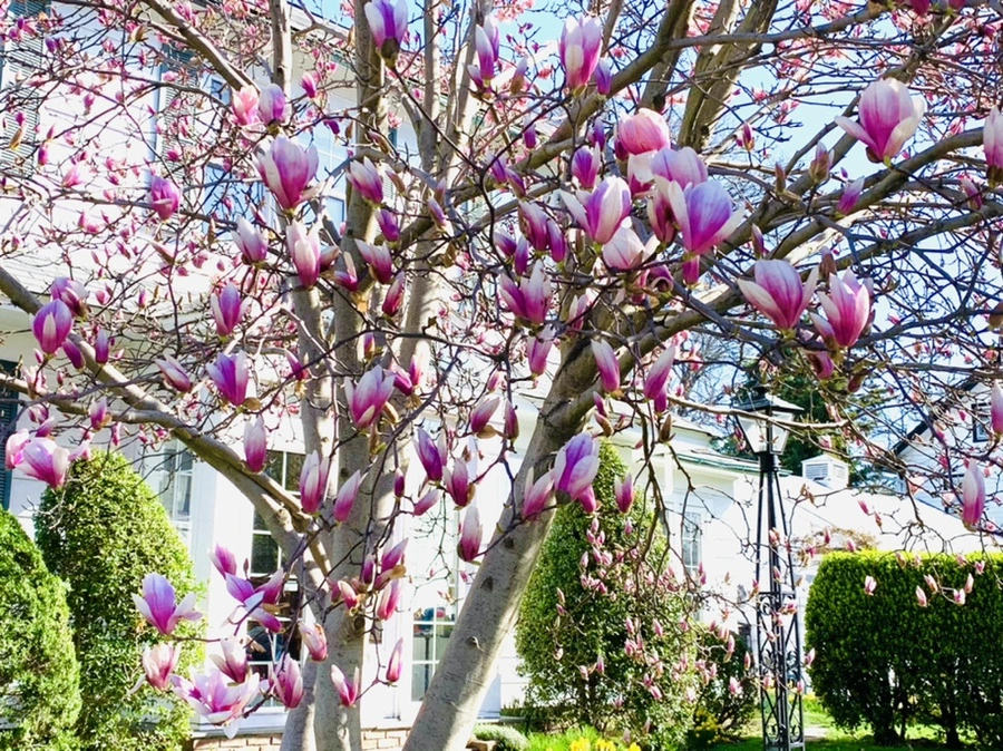 IMG_7508.jpg?type=w966