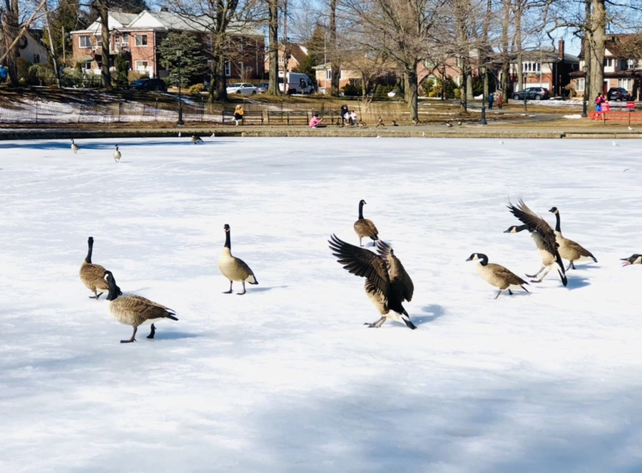 IMG_4840.jpg?type=w966