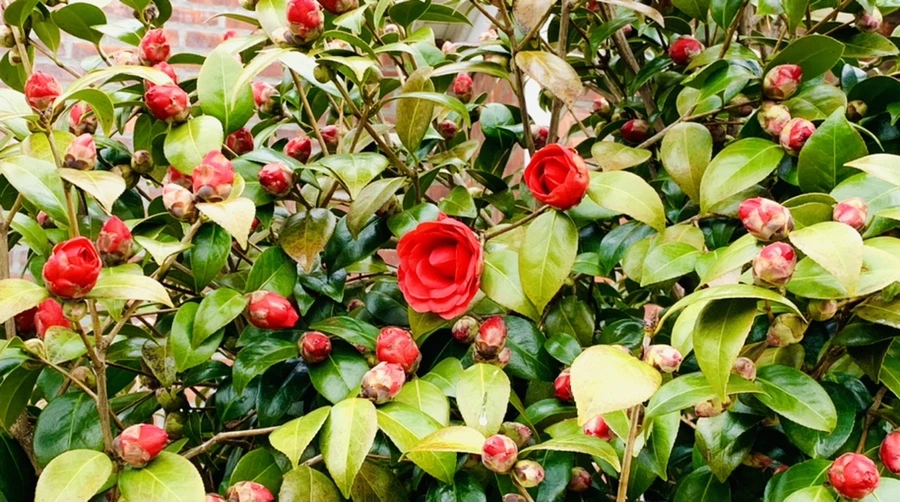 IMG_5919.jpg?type=w966