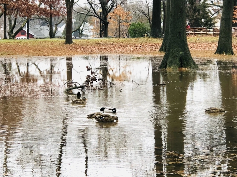 IMG_3381.jpg?type=w966