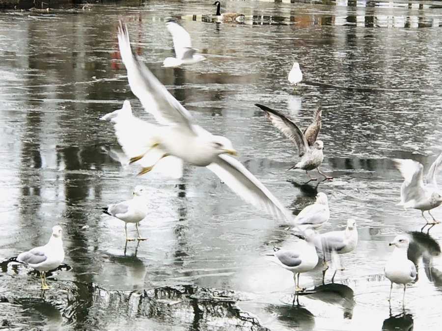 IMG_8895.jpg?type=w966