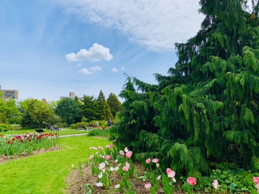 IMG_1250.jpg?type=w966