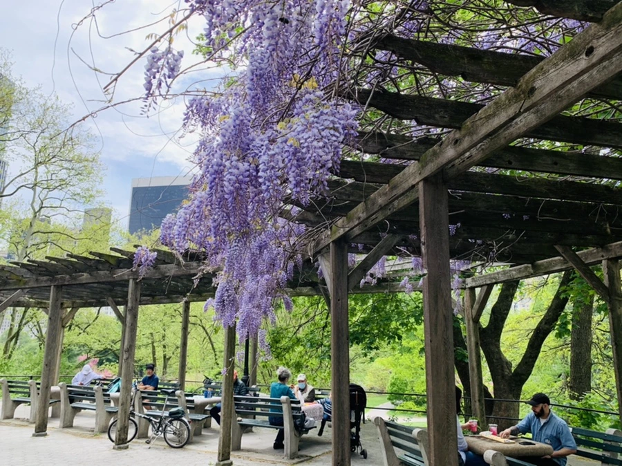 IMG_8770.jpg?type=w966