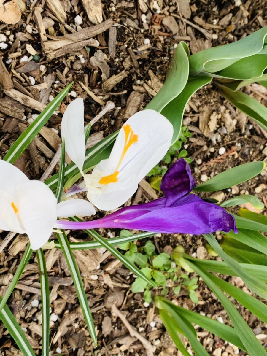 IMG_6633.jpg?type=w966