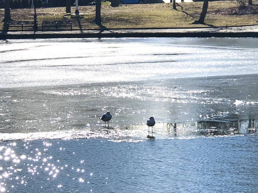 IMG_6815.jpg?type=w966