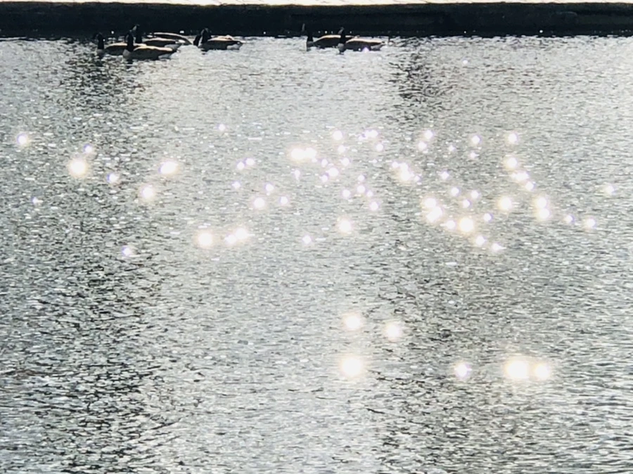 IMG_4380.jpg?type=w966