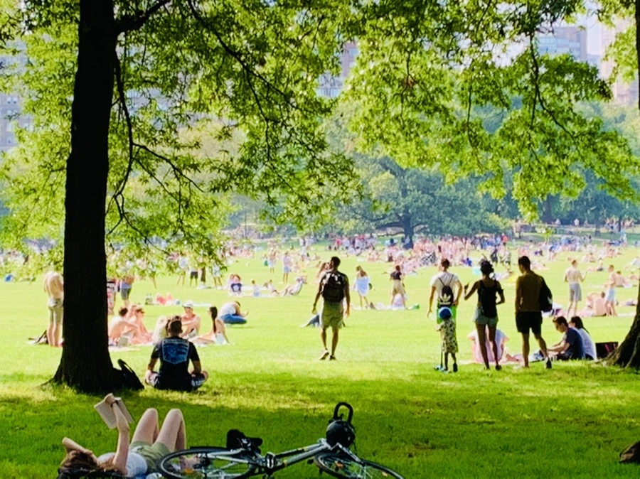 IMG_0673.jpg?type=w966